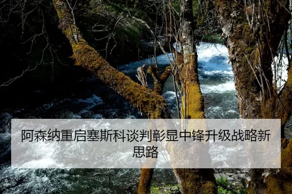 阿森纳重启塞斯科谈判彰显中锋升级战略新思路