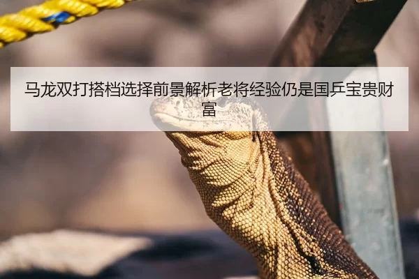 马龙双打搭档选择前景解析老将经验仍是国乒宝贵财富