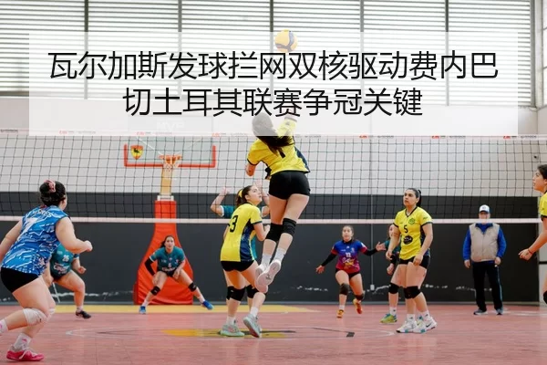 wa-er-jia-si-fa-qiu-lan-wang-shuang-he-qu-dong-fei-nei-ba-qie-tu-er-qi-lian-sai-zheng-guan-guan-jian-2-257.jpg