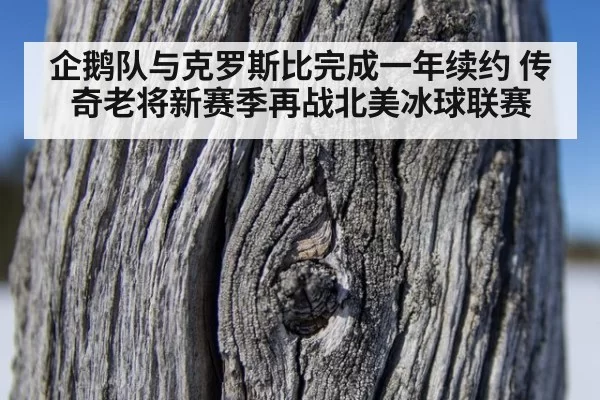 企鹅队与克罗斯比完成一年续约 传奇老将新赛季再战北美冰球联赛